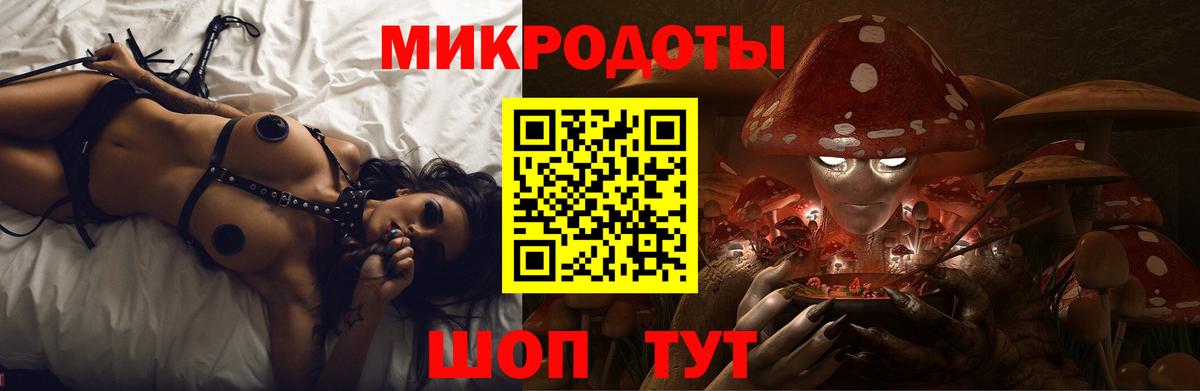 Псилоцибиновые грибы Psilocybe Биробиджан